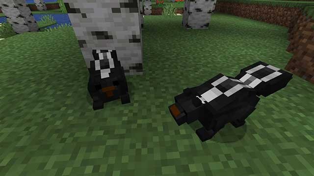 Skunks Mod 1.16.5 sẽ thêm loài chồn hôi vào thế giới tự nhiên của Minecraft
