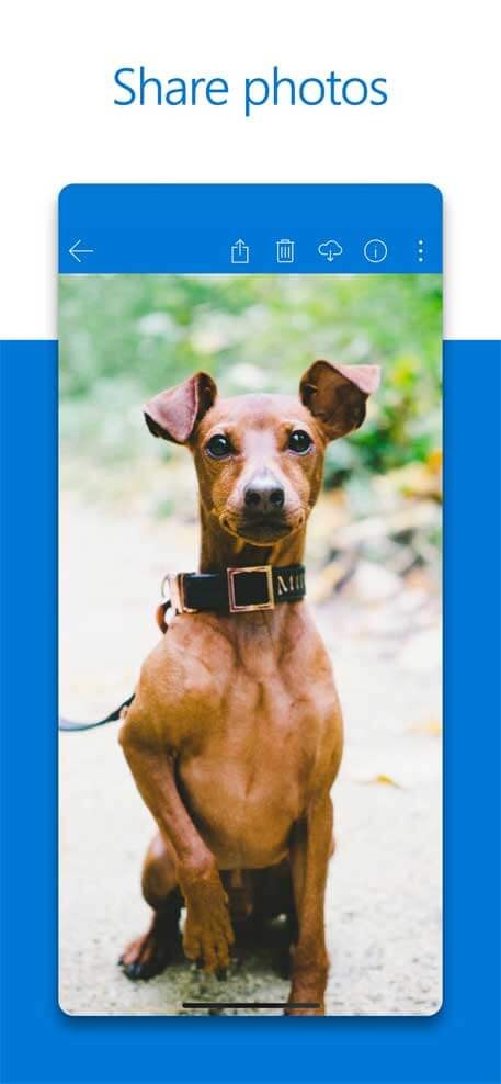 Microsoft OneDrive cho iOS hỗ trợ chia sẻ ảnh