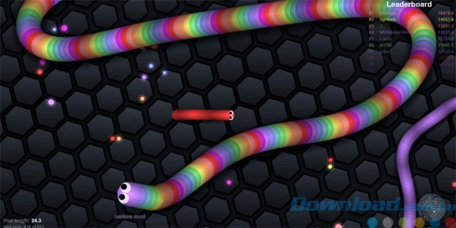 Mất mạng khi đâm rắn khác