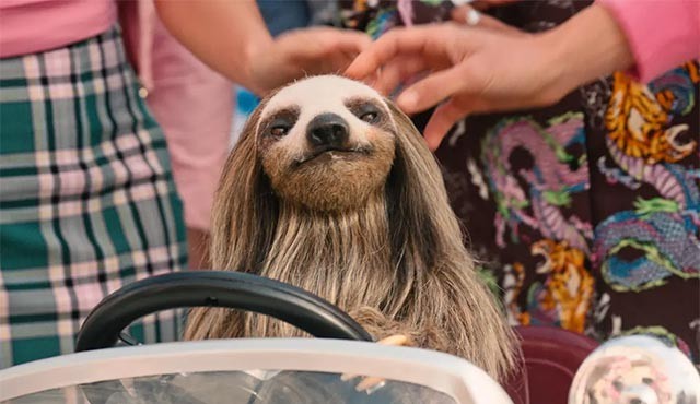 Slother House xoay quanh câu chuyện 1 con lười tàn sát hội nữ sinh sau khi được nhận nuôi...