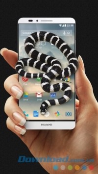 Game vui Snake on Screen Joke cho Android