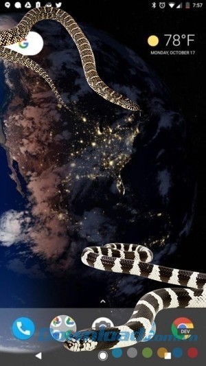 Snake on Screen Joke cho Android thiết kế rắn 3D