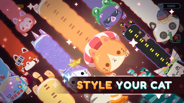 Nhiều loài mèo cho bạn lựa chọn và chơi