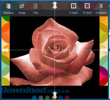 Lựa chọn với ảnh
