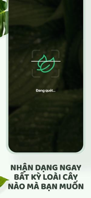 Đưa ra câu trả lời nhanh chóng