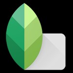 Snapseed cho Android: Ứng dụng chỉnh sửa ảnh chuyên nghiệp