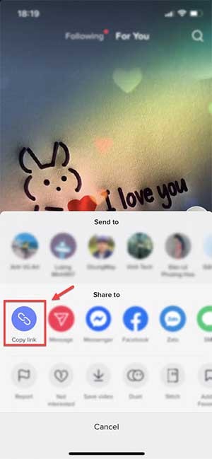 Nhấp vào Copy Link