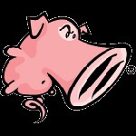 Snort 2.9.16: Giải pháp phát hiện xâm nhập mạng hiệu quả