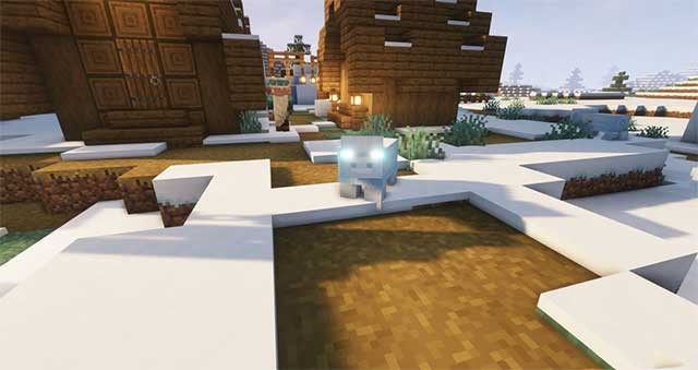 Snow Pig thường sống trong quần xã tuyết và lang thang khắp các vùng đất