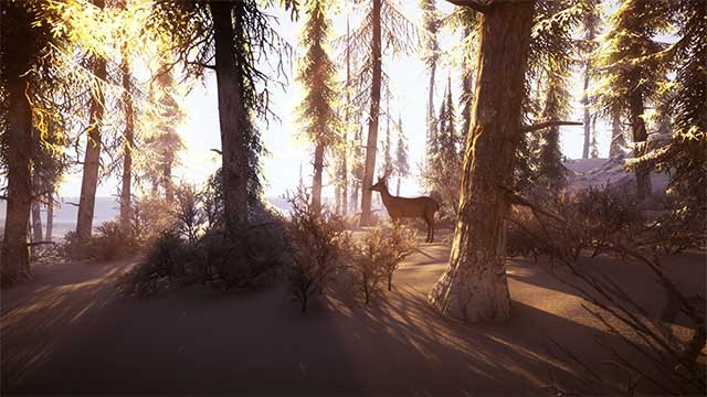 Có những nhiệm vụ dựa trên cốt truyện trong suốt trò chơi