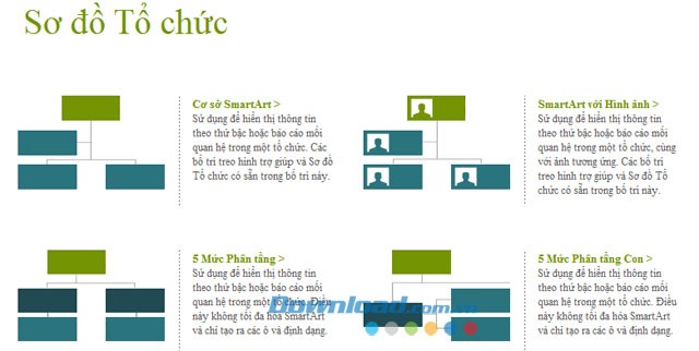 Sơ đồ tổ chức