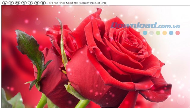 SoftOrbits Html Web Gallery Creator