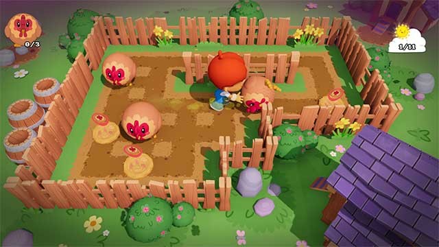 Lăn các con vật như gà, vịt và ngỗng về đúng tổ của chúng