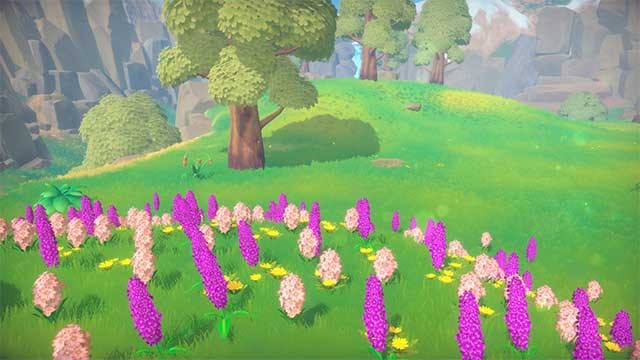 Trồng hơn 40 loại trái cây và rau quả trong các mùa khác nhau