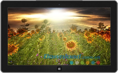 Spectacular Skies theme