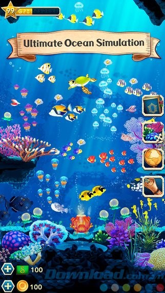 Khám phá cuộc sống dưới đáy đại dương