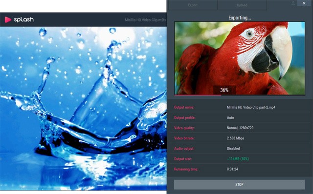 Export file video sang định dạng khác trong Splash Pro
