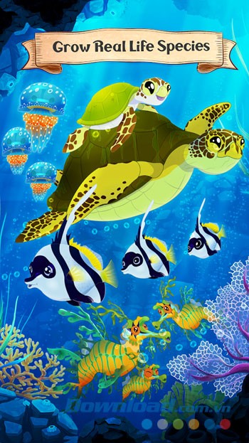 Thế giới đại dường kỳ thú trong game Splash