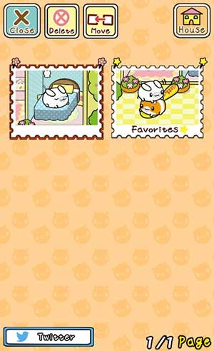 Chụp lại những khoảnh khắc đáng nhớ của pet