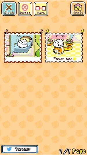 Chụp ảnh thú cưng