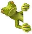 Spycam Lizard - Hidden Camera Technology