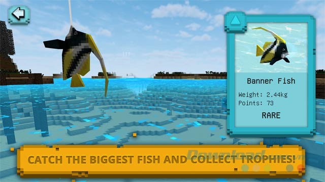 Bắt cá và thu thập phần thưởng