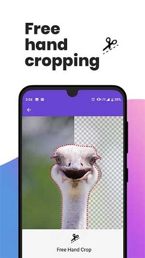 Tự căn chỉnh và cắt ảnh