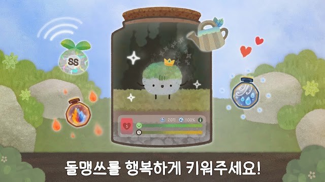 Chăm sóc và tạo môi trường phát triển tốt nhất cho đá