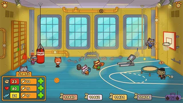 Huấn luyện mèo trong phòng tập thể dục để giúp chúng trở nên mạnh hơn