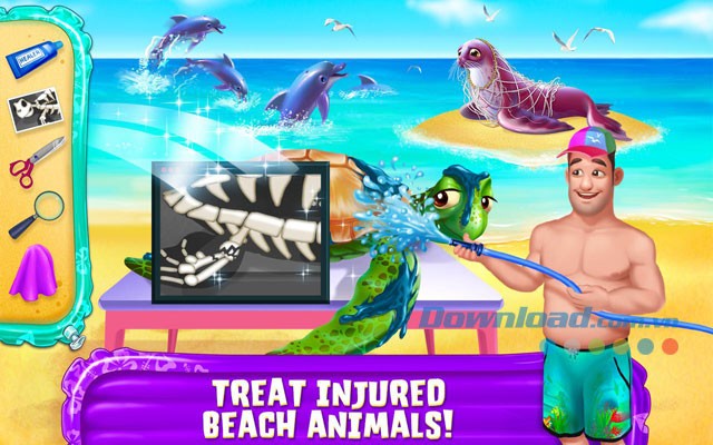 Chăm sóc những động vật biển bị thương