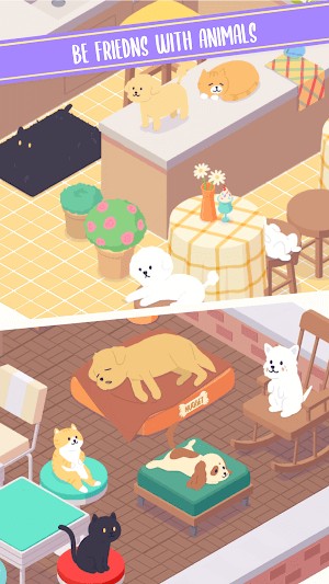 Làm bạn với những người động vật đáng yêu