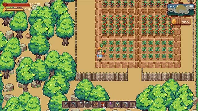 Không ngừng mở rộng trang trại và nâng cấp chất lượng cuộc sống trong Sunshine Farm