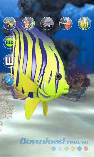 Khám phá đại dương