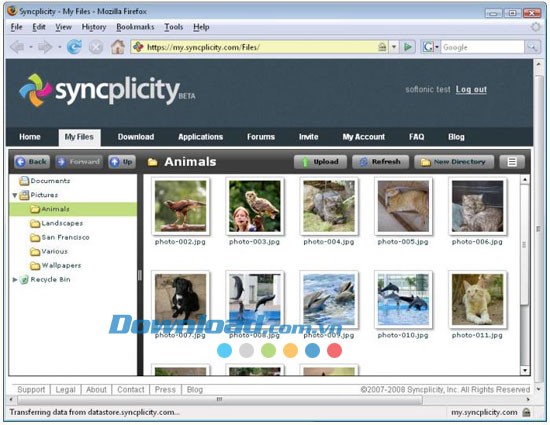 Syncplicity Business Edition