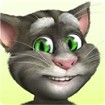 Talking Tom cho Windows 8 - Game mèo nhại tiếng người