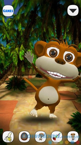 Xem khỉ nhảy múa