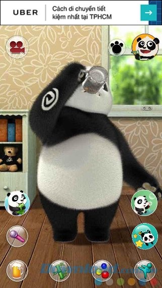 Uống bia không biết say