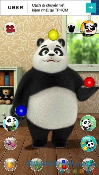 Paul biểu diễn xiếc