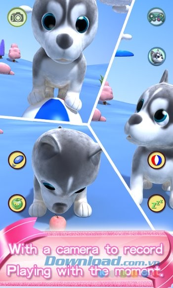 Quay video cùng cún trong game Talking Puppy