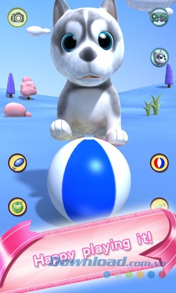 Chơi bóng cùng cún trong game Talking Puppy