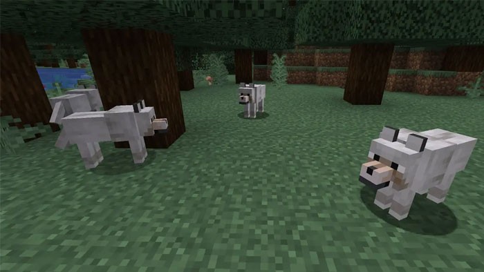 Minecraft Wolves: Locations & Rarity of All Variants