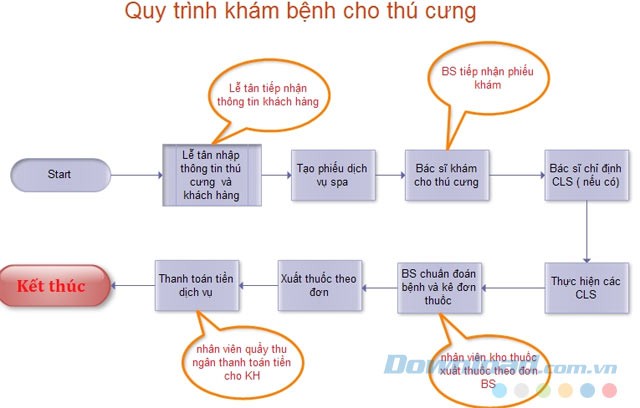 Quy trình khám bệnh cho thú cưng