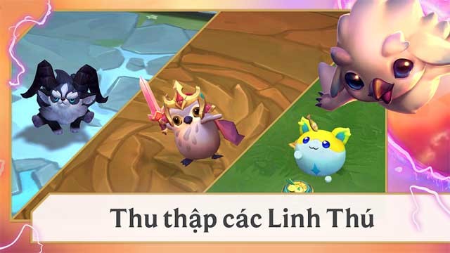 Thu thập các Linh thú mới khi chơi Đấu Trường Chân Lý hoặc mua chúng trong cửa hàng