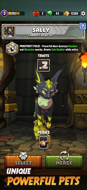 Đồng hành cùng pet mạnh mẽ