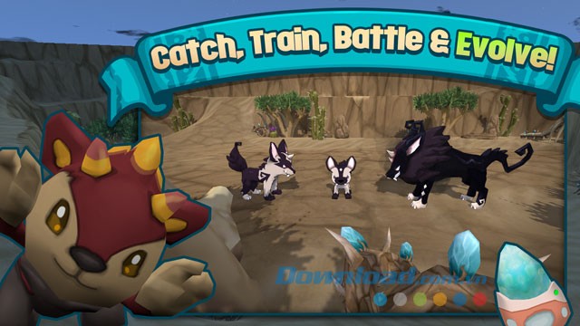 Bắt, huấn luyện, chiến đấu và tiến hóa các Terra Monster