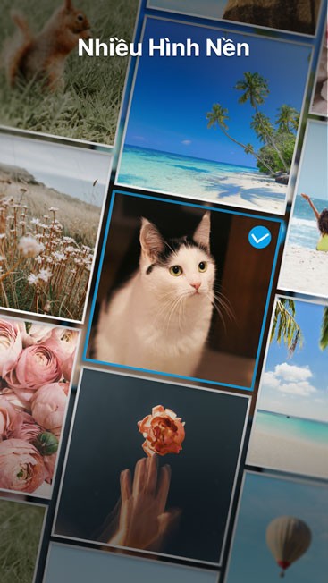 Nhiều hình nền