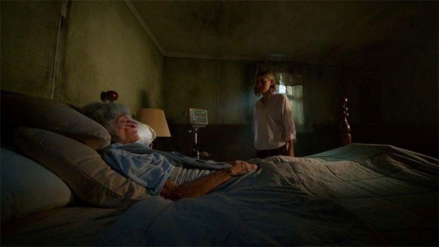 Câu chuyện trong The Accursed bắt đầu khi Elly nhận lời chăm sóc 1 cụ bà hôn mê ở ngôi nhà gỗ trong rừng...