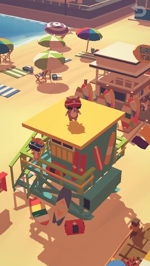 Xây dựng các ngôi nhà cho mèo