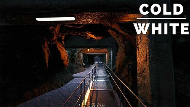 Giải mã bí ẩn trong rừng và truy tìm vị hôn thê mất tích