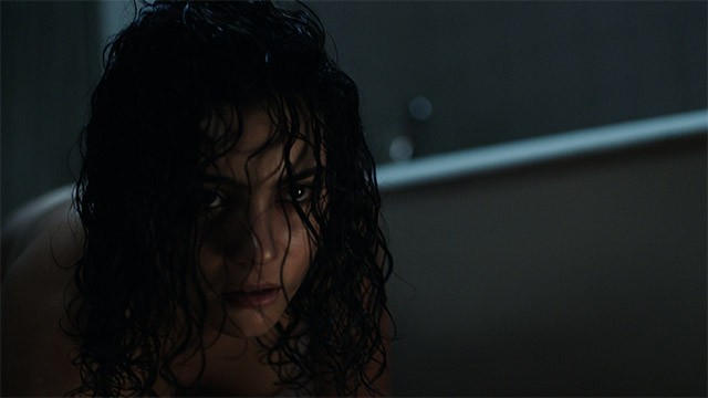 The Free Fall nhận được nhiều lợi nhận xét trái chiều về kịch bản và diễn xuất